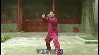 张东武太极40