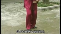 张东武太极41