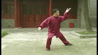 张东武太极43