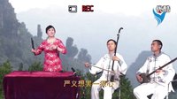 河南坠子 拉荆芭 刘雪云演唱_标清