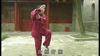 张东武太极45