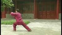 张东武太极51