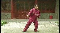 张东武太极52