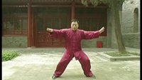张东武太极53