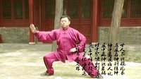 张东武太极54