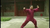 张东武太极55