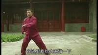 张东武太极56