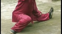 张东武太极57