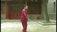 张东武太极58