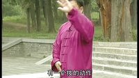 张东武太极61