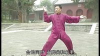 张东武太极65