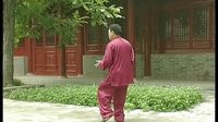 张东武太极66