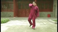 张东武太极67