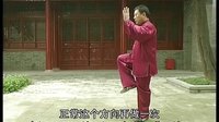 张东武太极69
