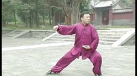 张东武太极71