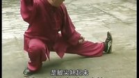 张东武太极72