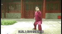 张东武太极73