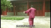 张东武太极75