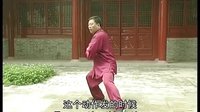 张东武太极76