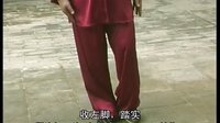 张东武太极78