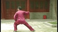 张东武太极79