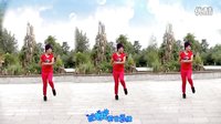 2016最新广场舞《前世今生的缘》麒麟广场舞