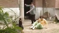 民间小调儿媳跟着婆婆学：全