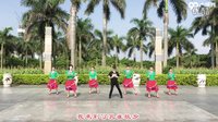 海之韵广场舞《孔雀故乡》正面演示