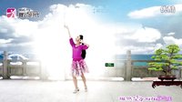 艺莞儿广场舞《海角天涯》正面演示