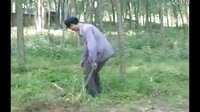 民间小调四个憨妮嫁一家：1