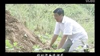 民间小调帅哥泡富婆：1