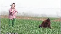 民间小调《傻妮出嫁》2