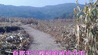 《倒霉大叔的婚事》三步并做两步走
