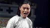 河南豫剧《倒霉大叔的婚事》一句话