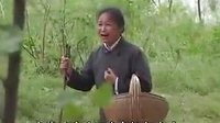民间小调多子多福娘受苦：全