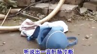 民间小调公公帮儿媳忙家务：全