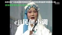 淮海戏《皮秀英四告》04