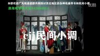 淮海戏《皮秀英四告》05