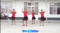2016最新广场舞《明明白白我的心》南王月亮
