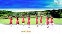 张春丽广场舞《风一吹爱就来》正背面示与动