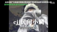 淮海戏《皮秀英四告》12