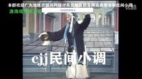 淮海戏《皮秀英四告》08