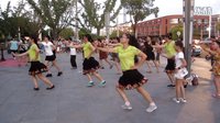 美娜子广场舞十四 《让爱领舞》《甜蜜爱情》下载
