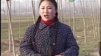 民间小调《老叫驴吃青草》全