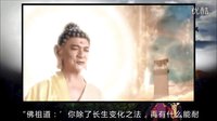 大话西游 孙悟空拜师之谜 06