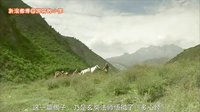 大话西游 猪八戒究竟有多丑 42