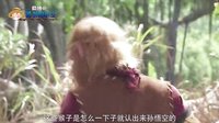 大话西游 美猴王重回花果山 72