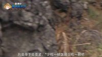 大话西游 大师兄猪八戒的本性 73