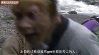 大话西游 取经之路就是画圈圈 99