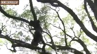 大话西游 美人计唐三藏 169